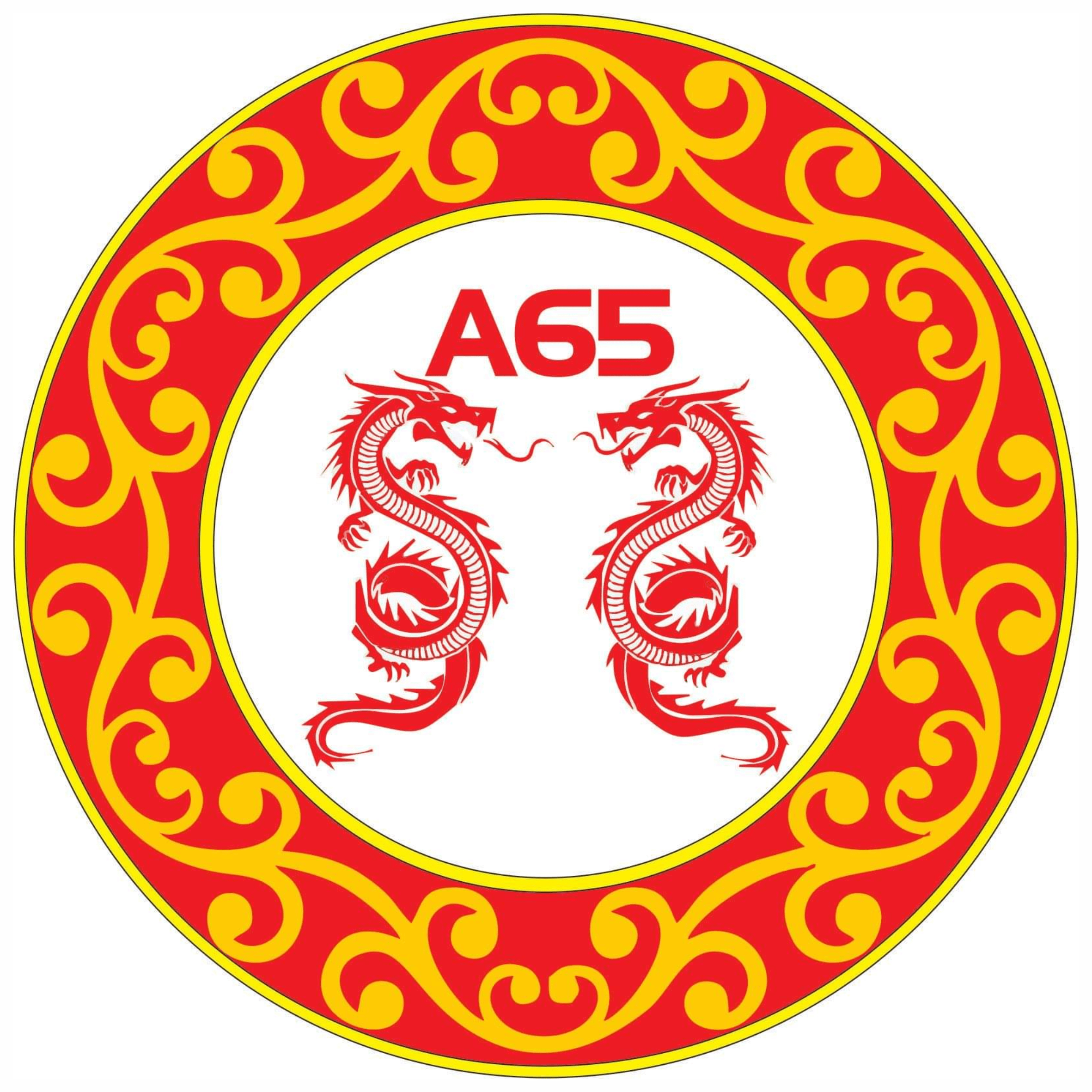 A65